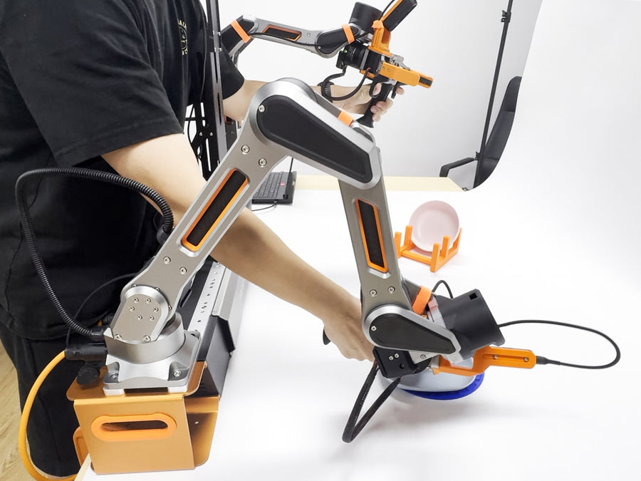 Embodied AI Systems